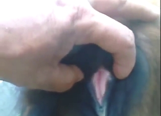 Zoo XXX with guy who outs himself as beast fucker