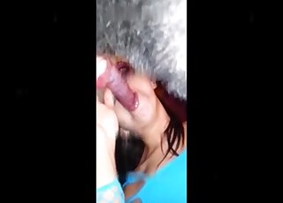 Outstanding zoophilia entertainment for an amateur