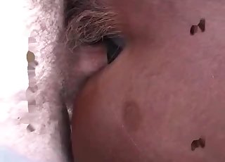 Anal fun for a horse