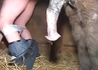 Woman bestiality xxx