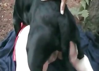 Farm lovemaking action with a horse