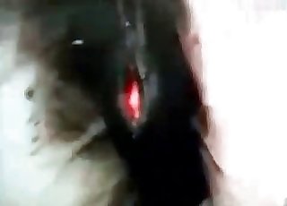 Wonderful pony sex compilation