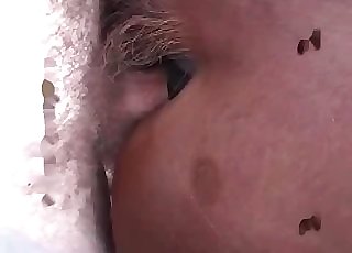 Anal fun for a horse