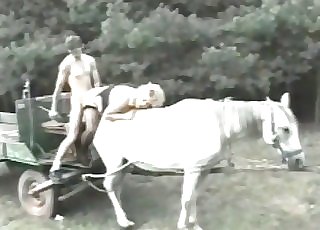 Family couple smashes on a horse