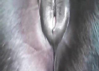 Huge ass-fuck crevasse of a stallion