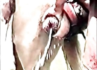 Sexo com loira gostosa da buceta lisinha perfeita - Insanely huge cock of a stallion