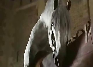 Sexy stallion in amazing bestiality Hard-core act