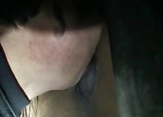 Playing with a nice chocolate-colored stallion on cam