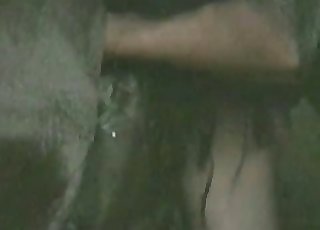 Farmer shovels his hand in horse asshole