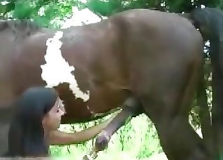 Crazy oral creampie by a stallion