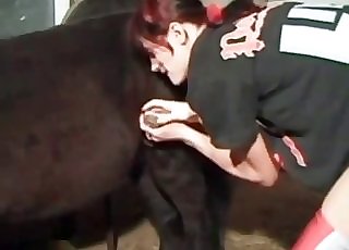 Mare’s dick is getting pleasured