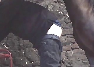 Man's asshole gets torn apart by an endowed stallion