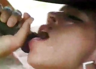 Horse gets his incredibly humungous pipe serviced orally