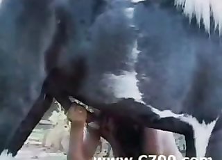 Pony cock cums in her closed hatch