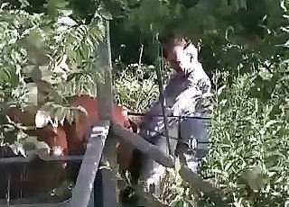 Stallion screwed at the old farm