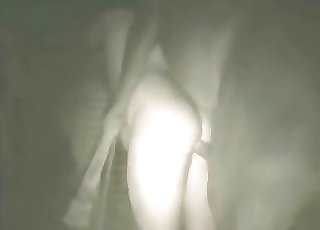 Fat male playing with huge stallion