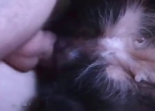 Tender puppy is demonstrating its filthy skills