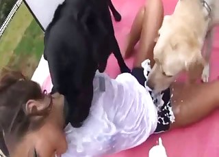 Mutt fuck with a gentle teenager and her pooch
