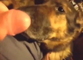 far seduce this beast is far FLAUNT your dick