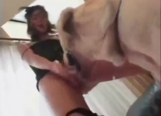 Japanese girl down a round butt needs dog dick