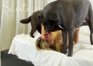 Zoophile porn shows a hot blonde taking gumshoe