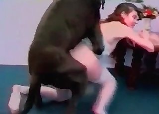 pocket pachinko fun - Tight vagina punctured stiff by a Doberman