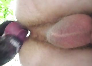 Cute trained dog licks my hairless ass